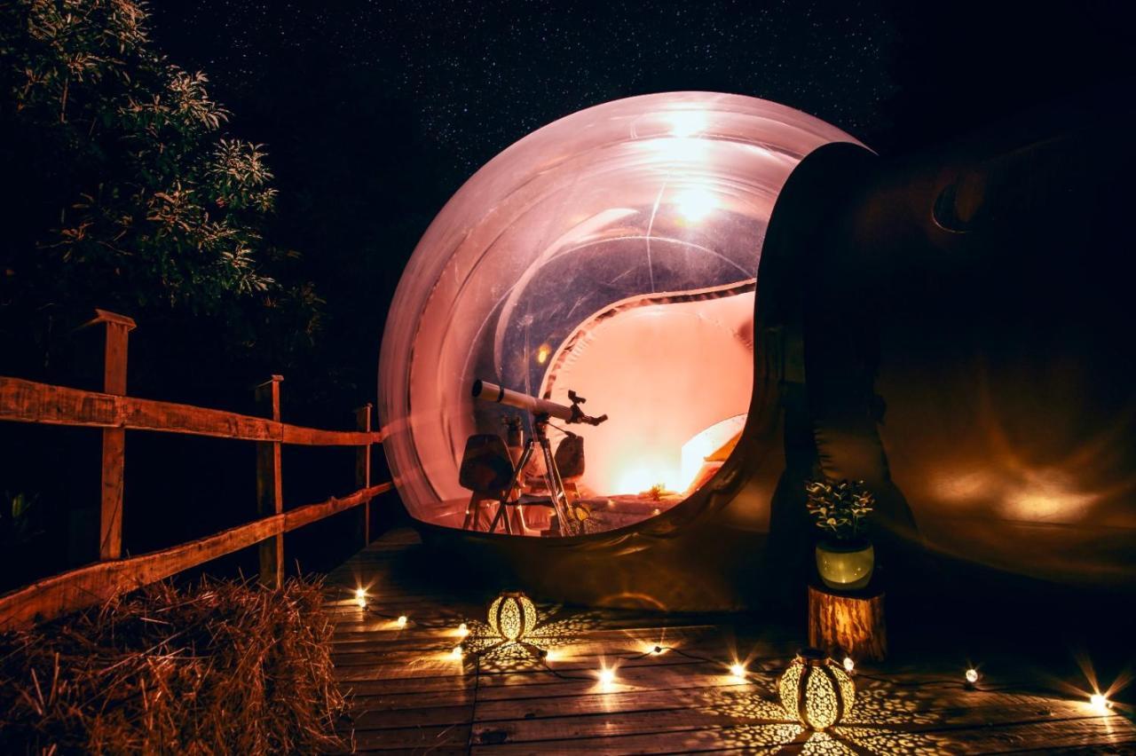 Maso La Marianna Bubble Glamping In Trentino Acomodação com café da manhã Sant'Orsola Exterior foto